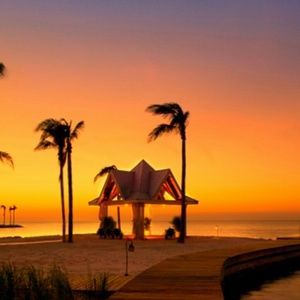 Meet your Posher, Patsy